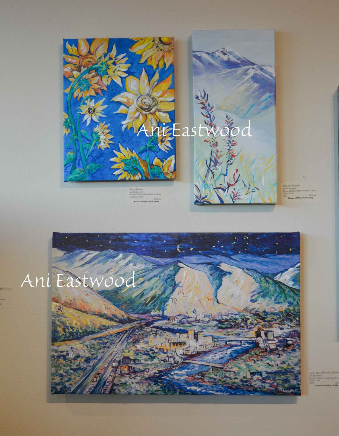 "Starry Nights Missoula, Montana" Ani Eastwood