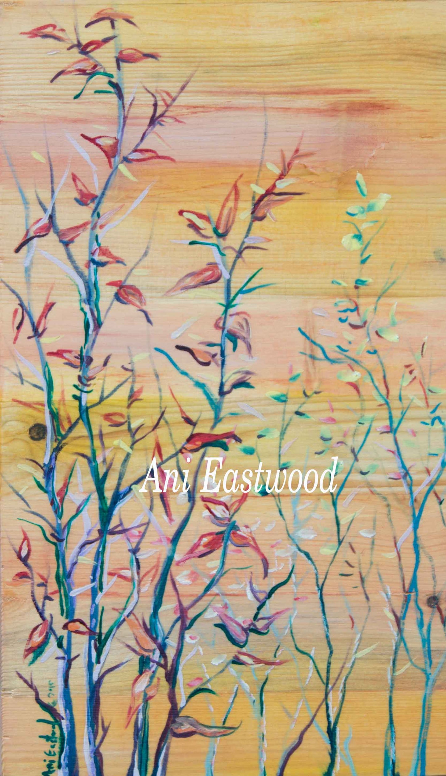 Flowers and Plants Card 6 Pack: Ani Eastwood