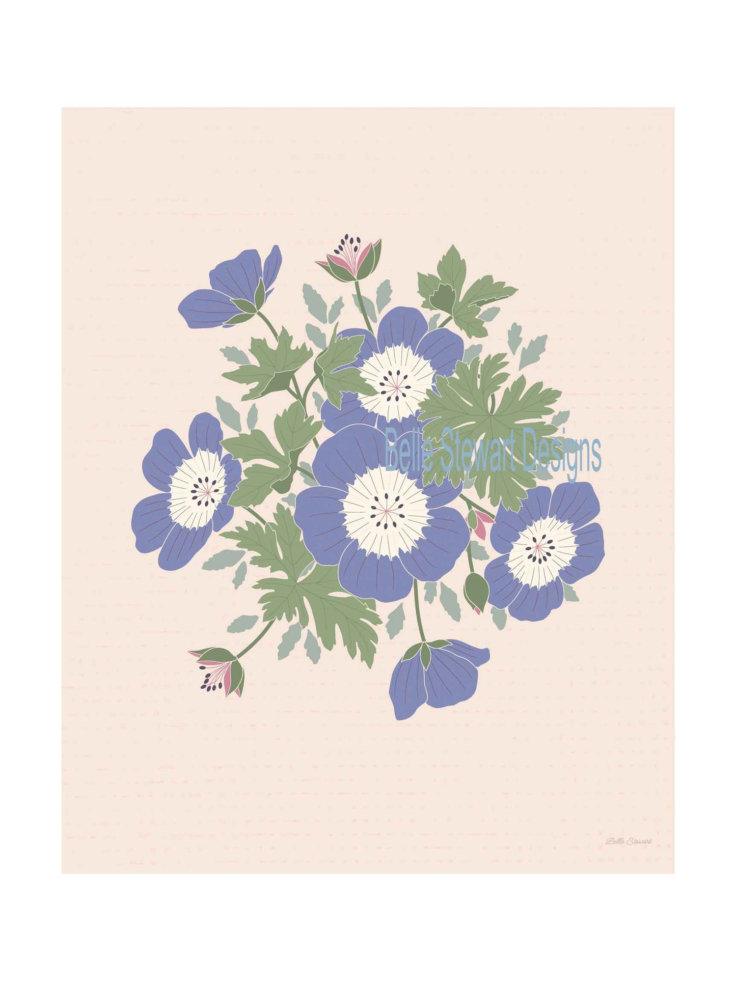 "Rozanne Geranium" Belle Stewart Design 2026