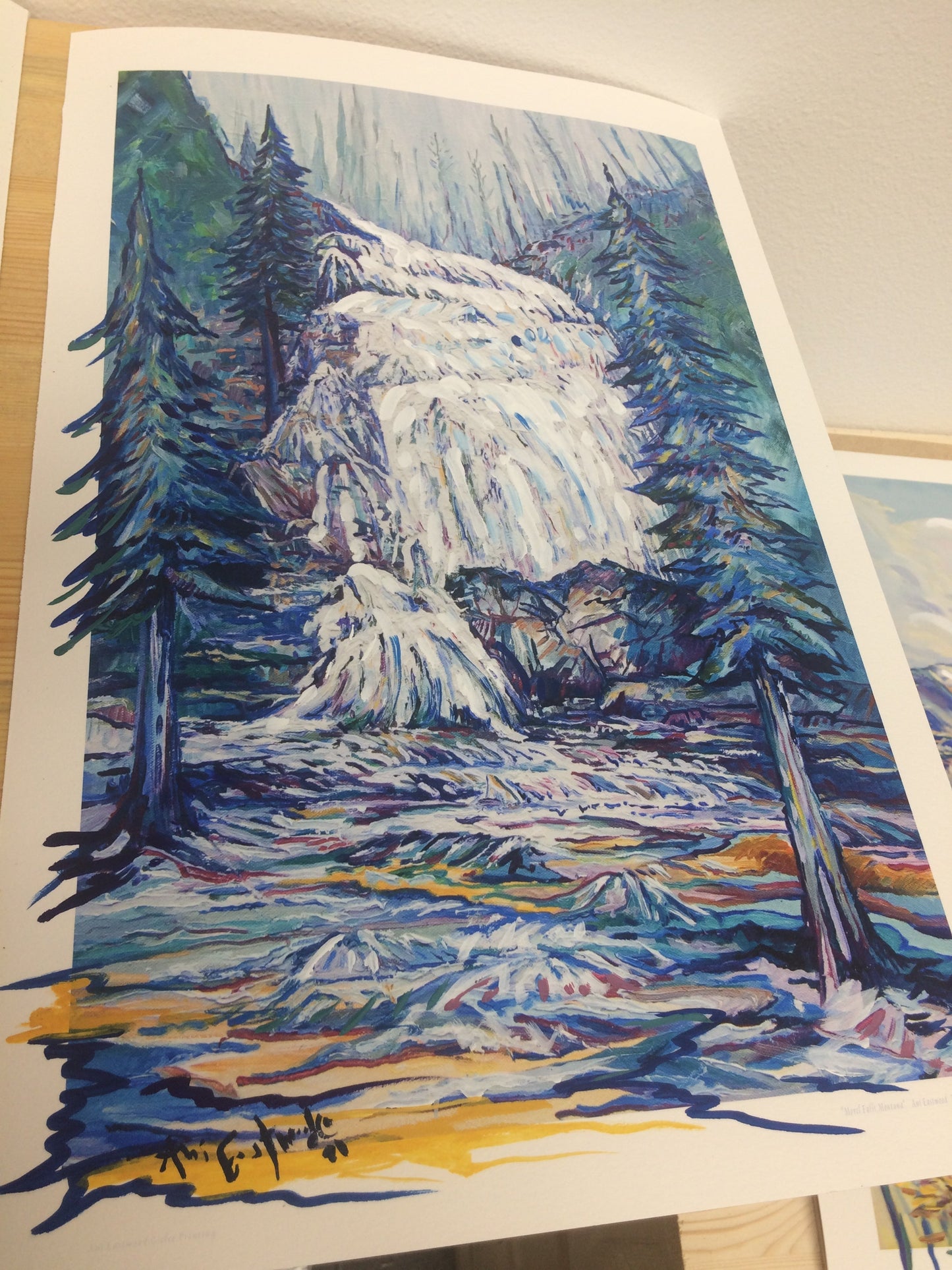 "Morrel Falls, Montana" 2021 Ani Eastwood