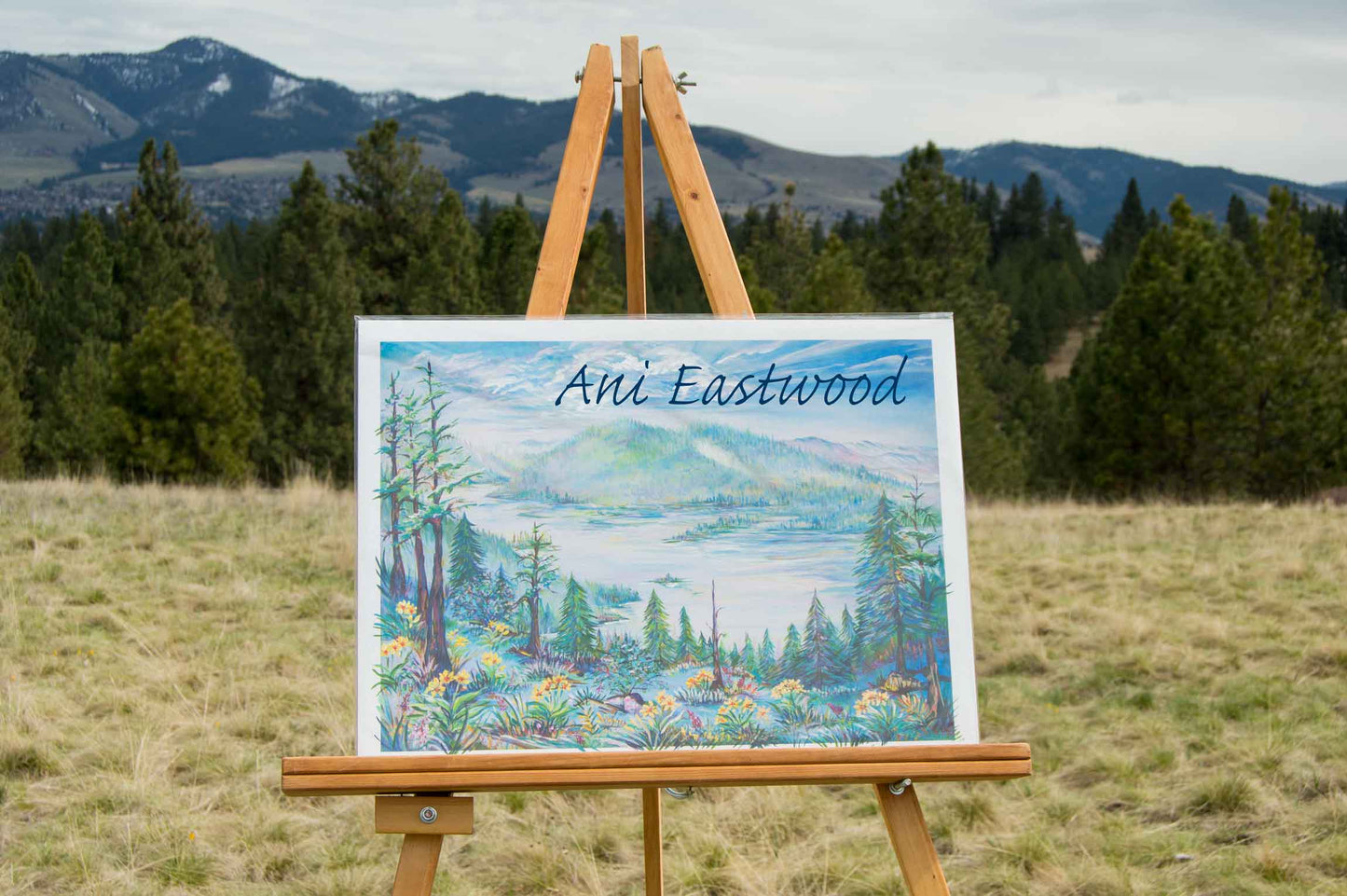 "Salmon Lake, Montana" 2017 Ani Eastwood