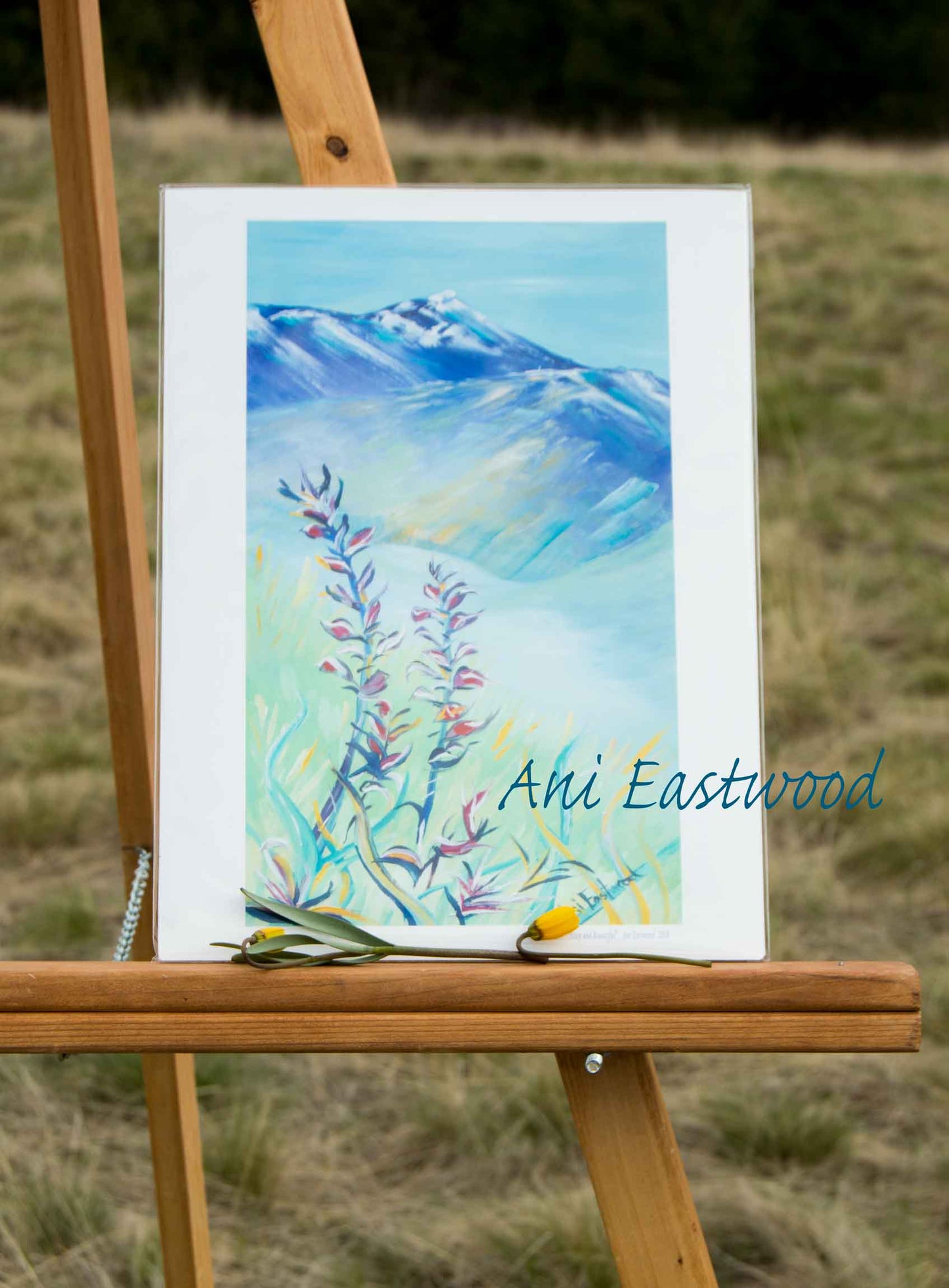 "Steep and Beautiful" 2019 Ani Eastwood