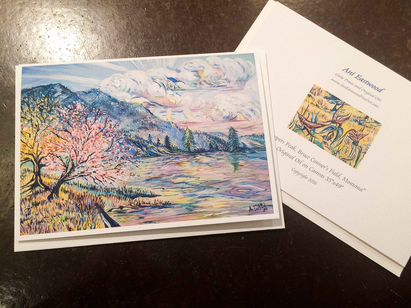 "Salmon Lake, Montana" 2017 Ani Eastwood