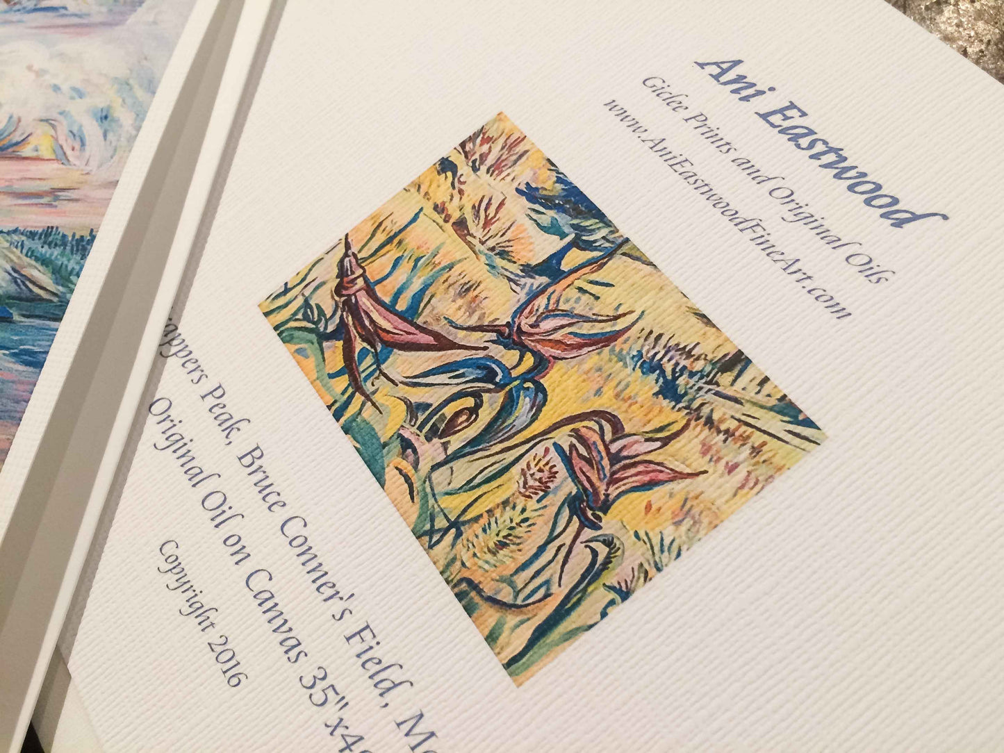 "Salmon Lake, Montana" 5x7 Greeting Cards (Singles or 3 Pack). Ani Eastwood