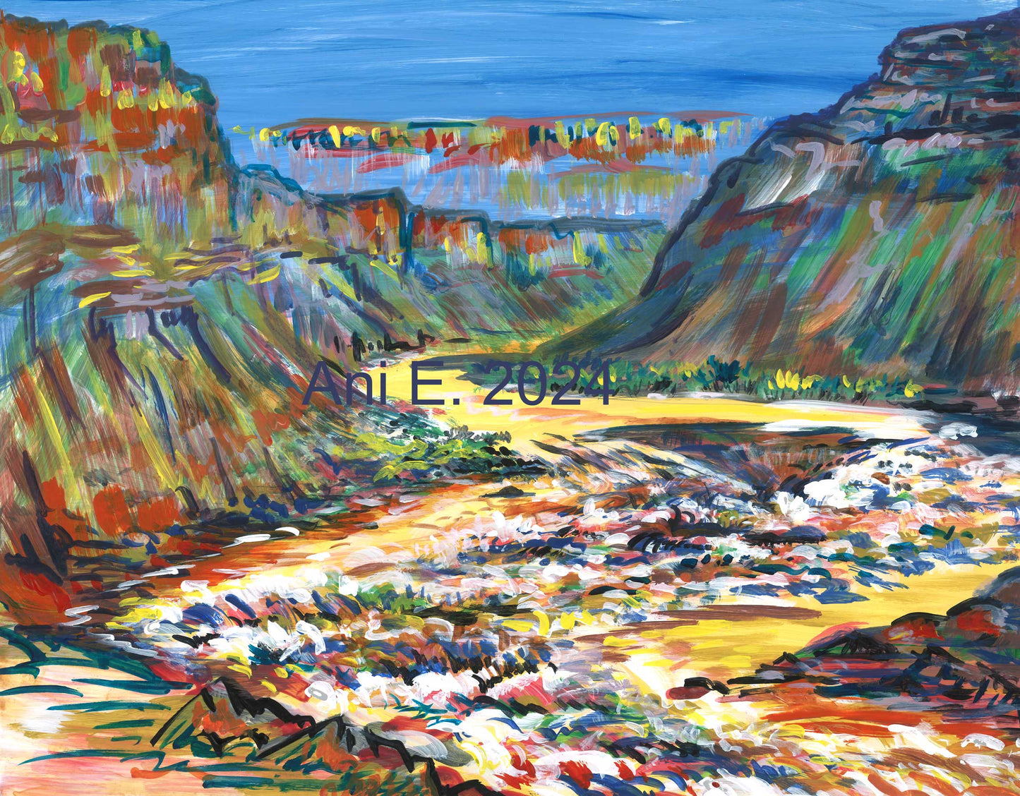 "Dubendorf Rapid from Stone, Grand Canyon" Ani 2024