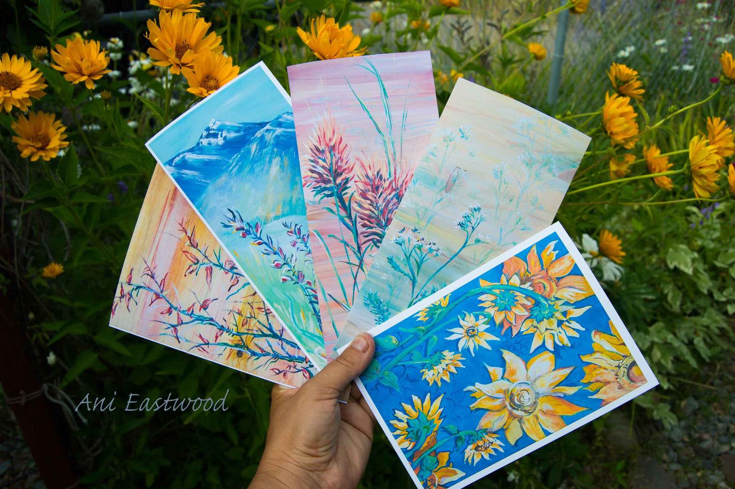 Flowers and Plants Card 6 Pack: Ani Eastwood