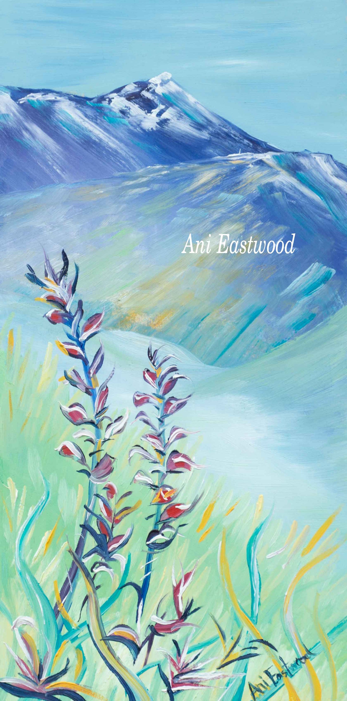 Montana Landscapes Card Assortment Pack, Ani Eastwood
