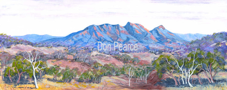 Don Pearce