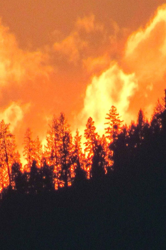 "Fire on the Horizon" Matt Stube Photography