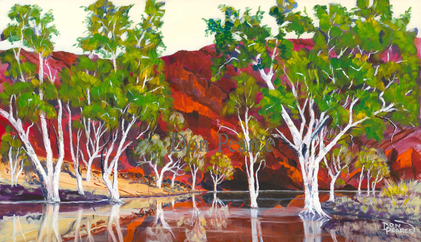 "Ormiston Gorge Cave" Don Pearce 2017