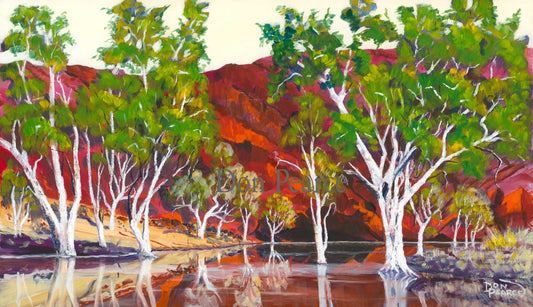 "Ormiston Gorge Cave" Don Pearce 2017
