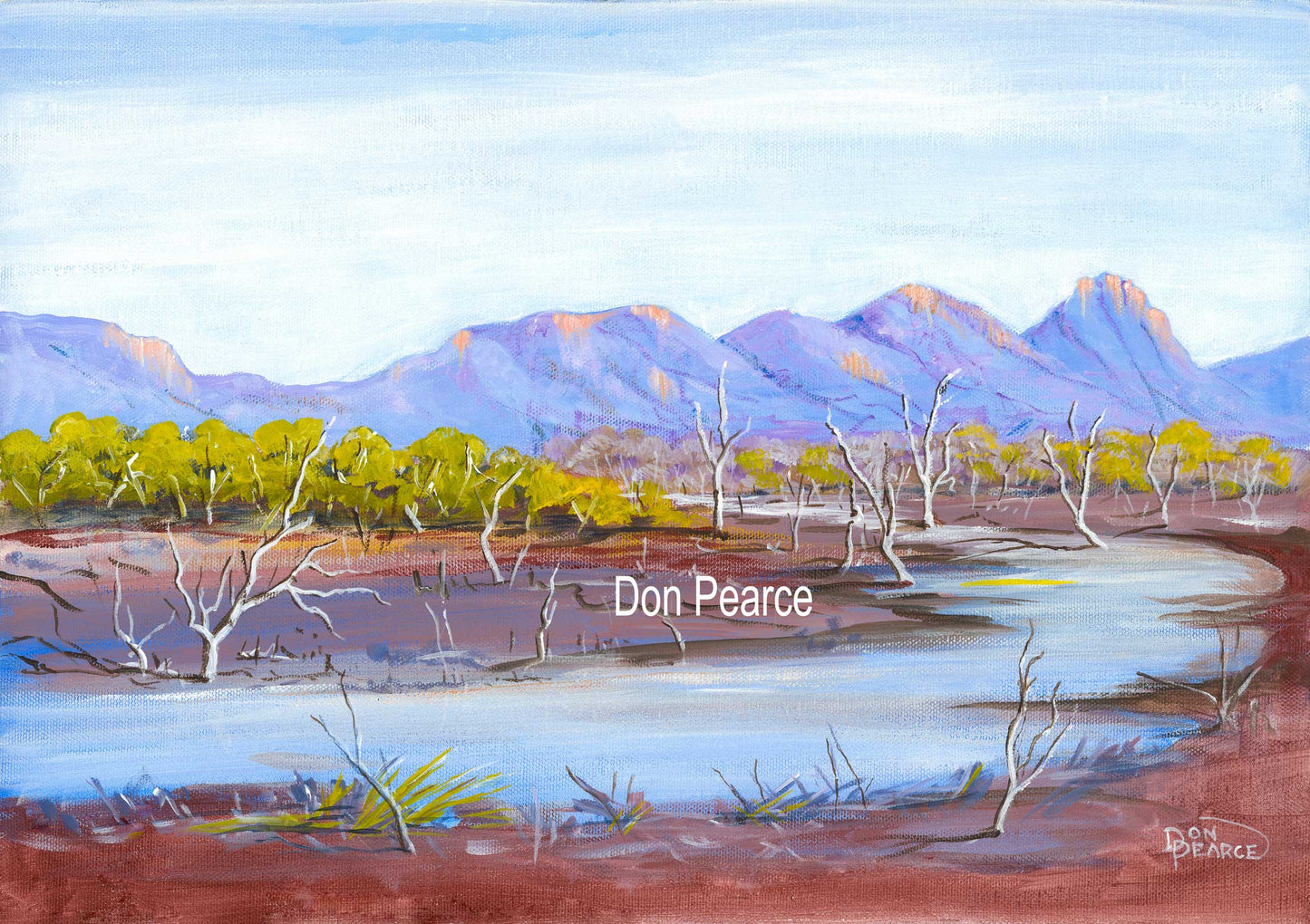 "Flood Plane" Don Pearce 2021