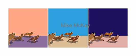 "Coyote", Mike McKay 2025