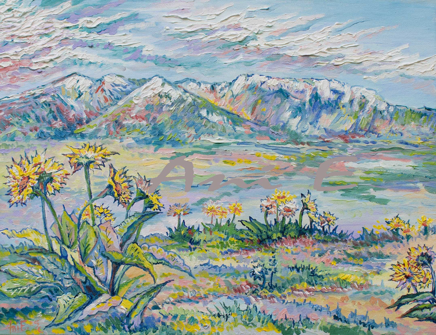 "Balsamroot" Oil on Canvas 2025