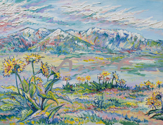 "Balsamroot" Oil on Canvas 2025