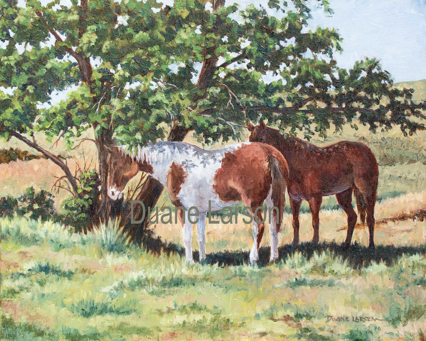 "Afternoon Shade," Duane Larsen 2021
