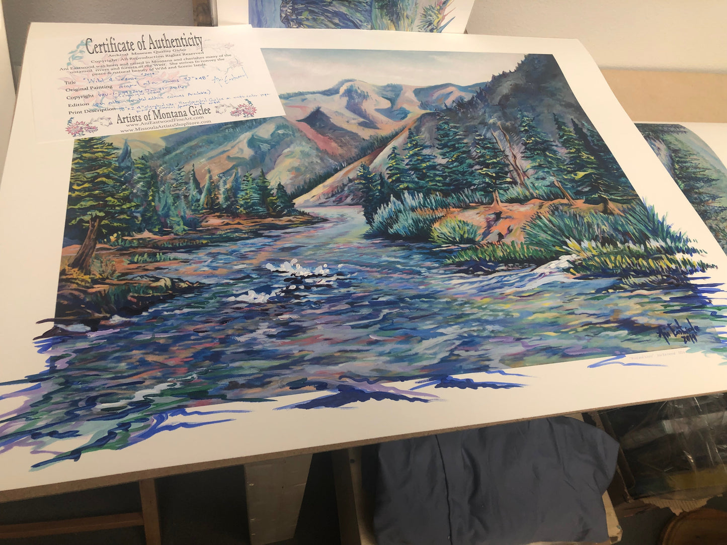 "Wild and Scenic"  2014  Ani Eastwood