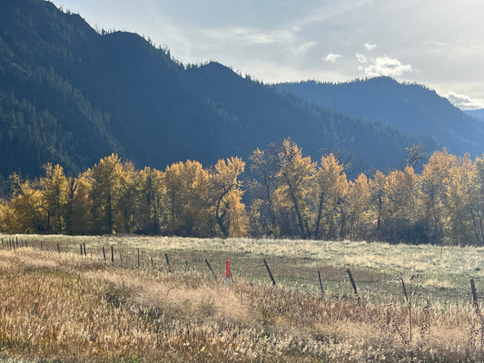 "Late Autumn" Ani Stube Photography