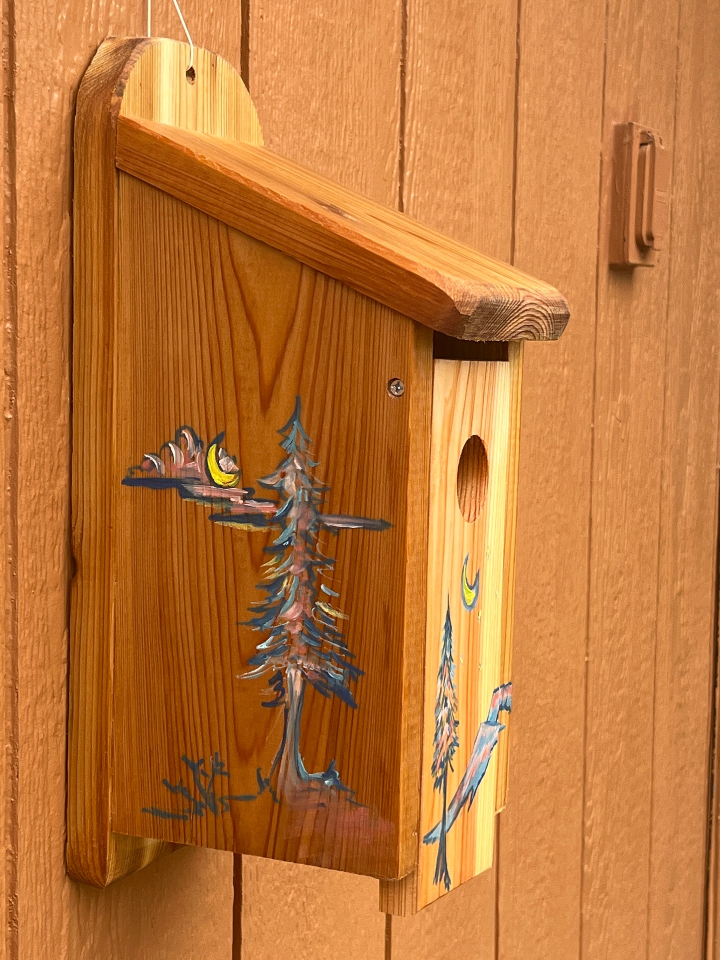 Handmade Cedar Bluebird Box, Ani Eastwood