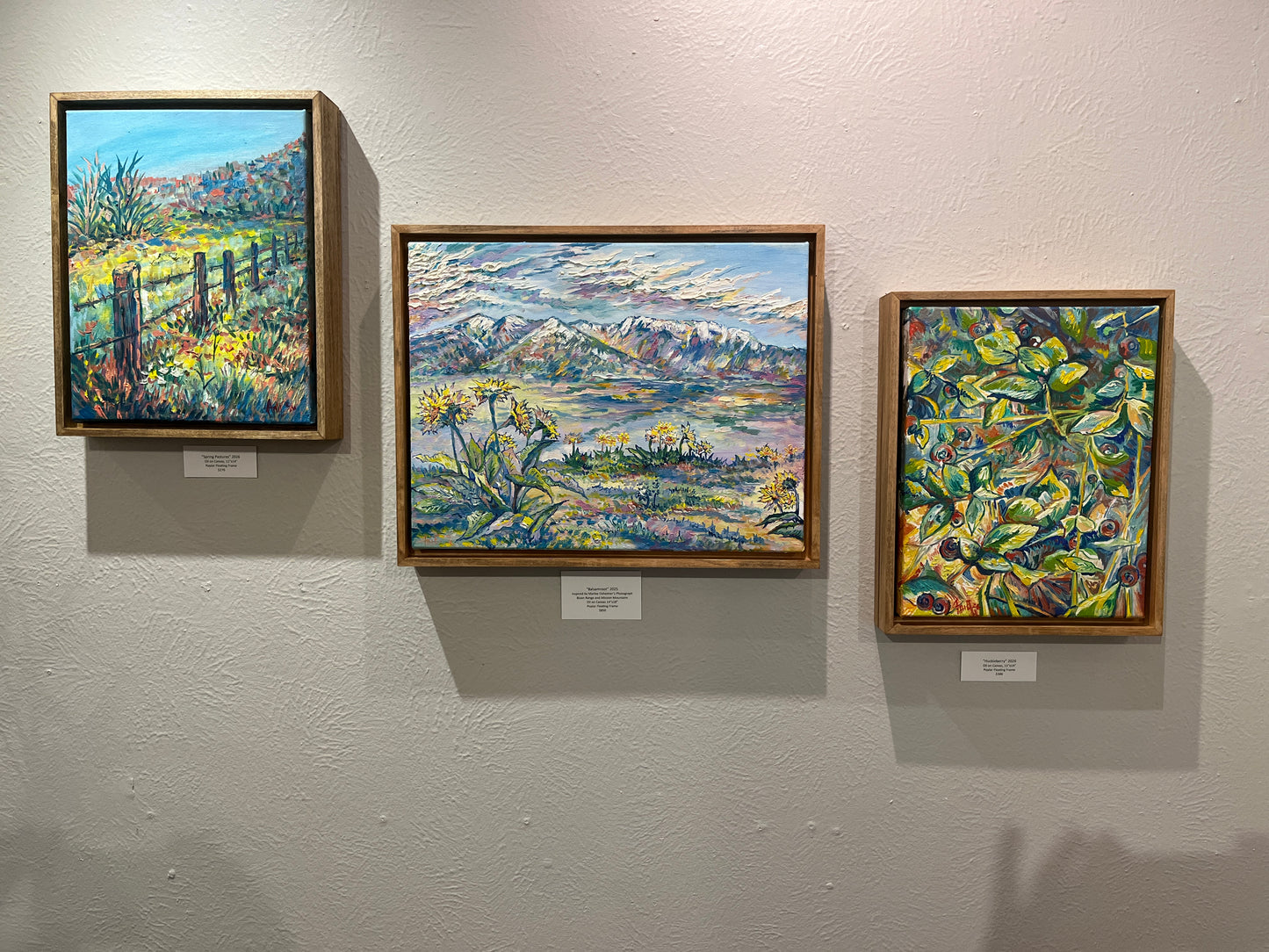 "Balsamroot" 2025 Ani Eastwood (New!)