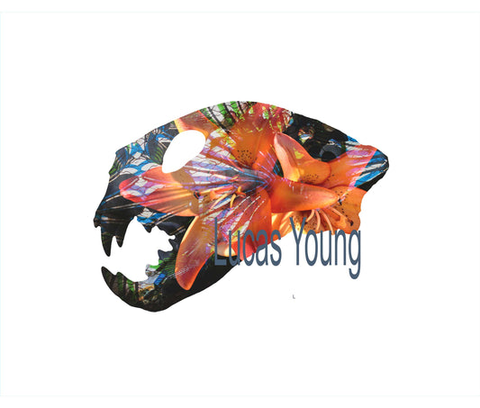 "Jungle Kitty" Lucas Young 2024