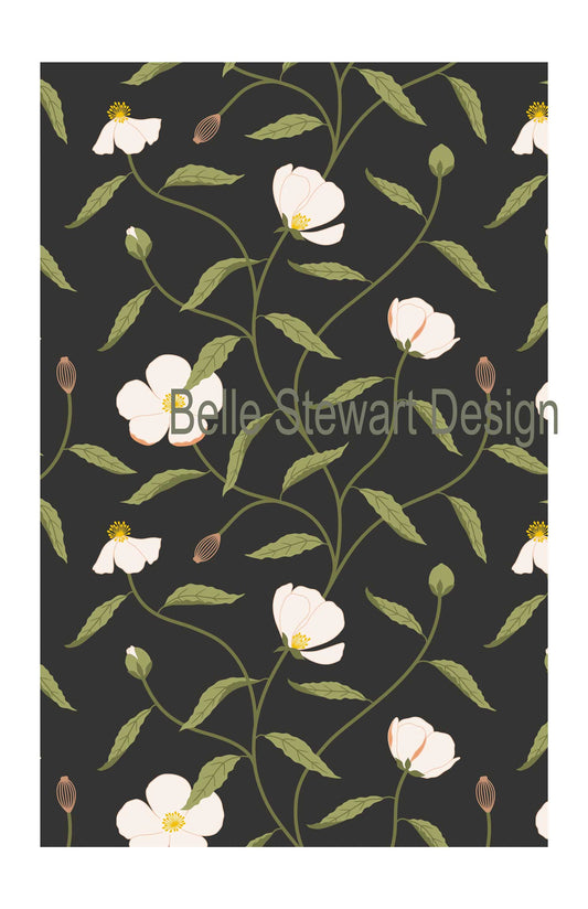"Matilija Poppy" Belle Stewart Design 2024