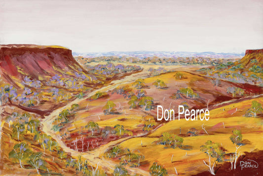 "Pillabra Valley" Don Pearce 2024
