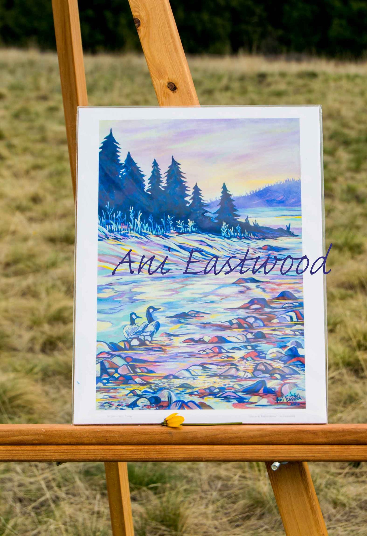 "Geese on the Blackfoot River" 2016 Ani Eastwood
