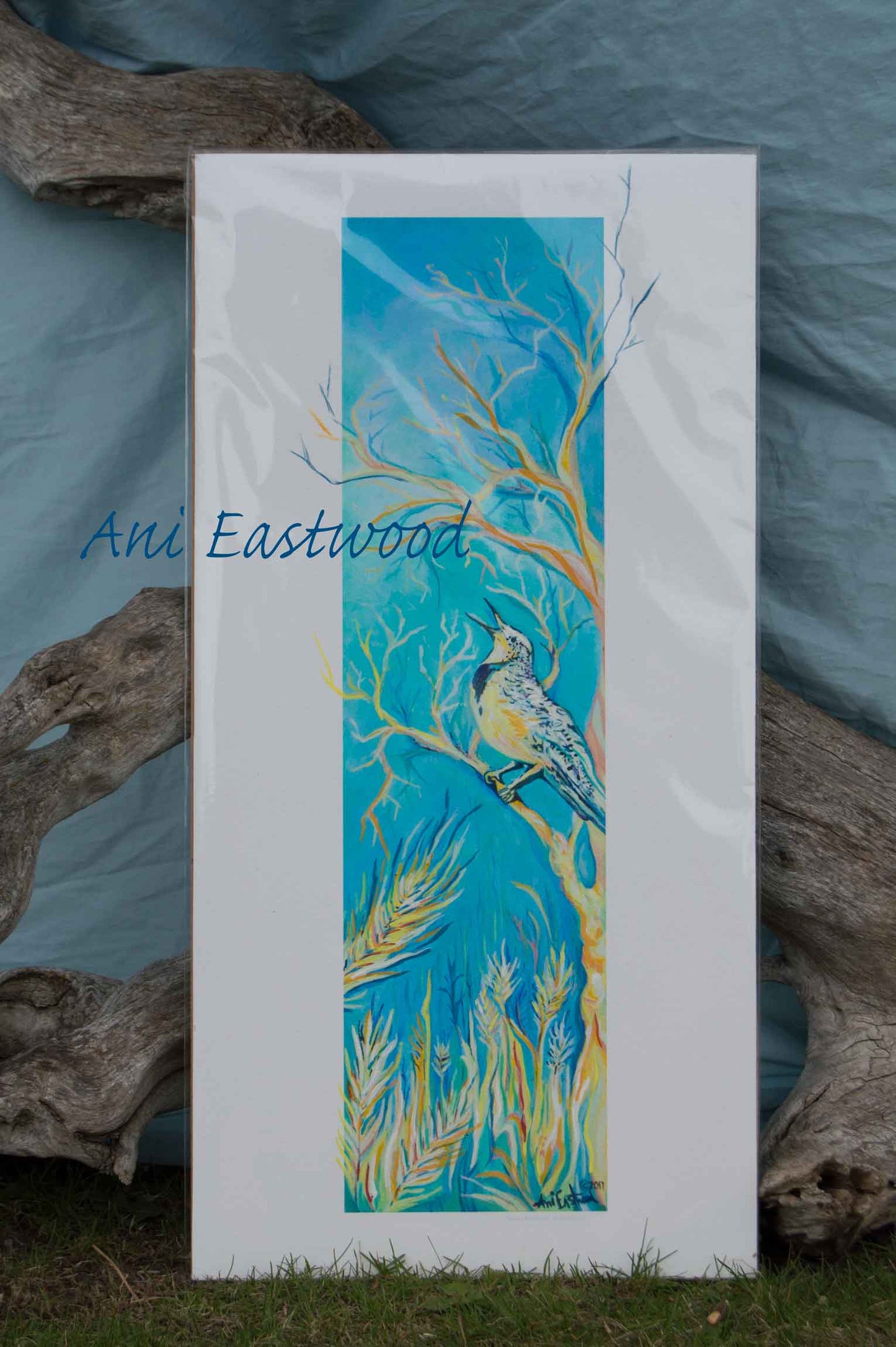 "Montana Meadowlark" 2018 Ani Eastwood