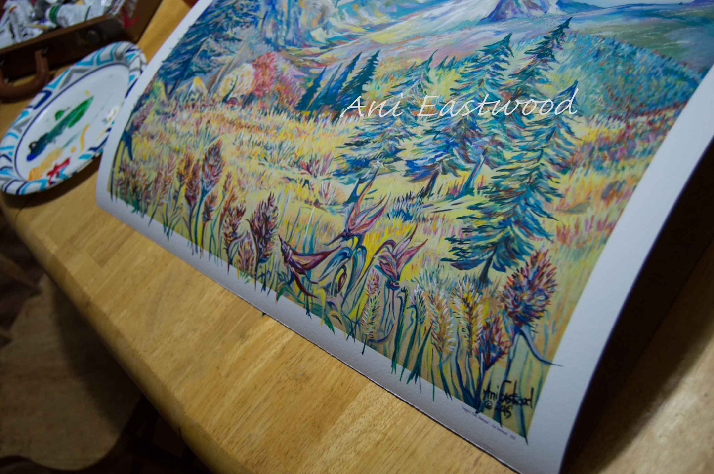 "Trapper's Peak, Montana" 2014 Ani Eastwood