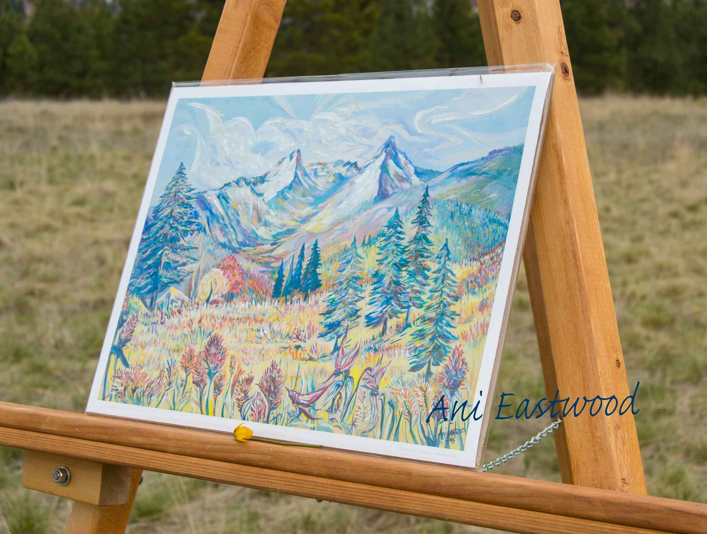 "Trapper's Peak, Montana" 2014 Ani Eastwood