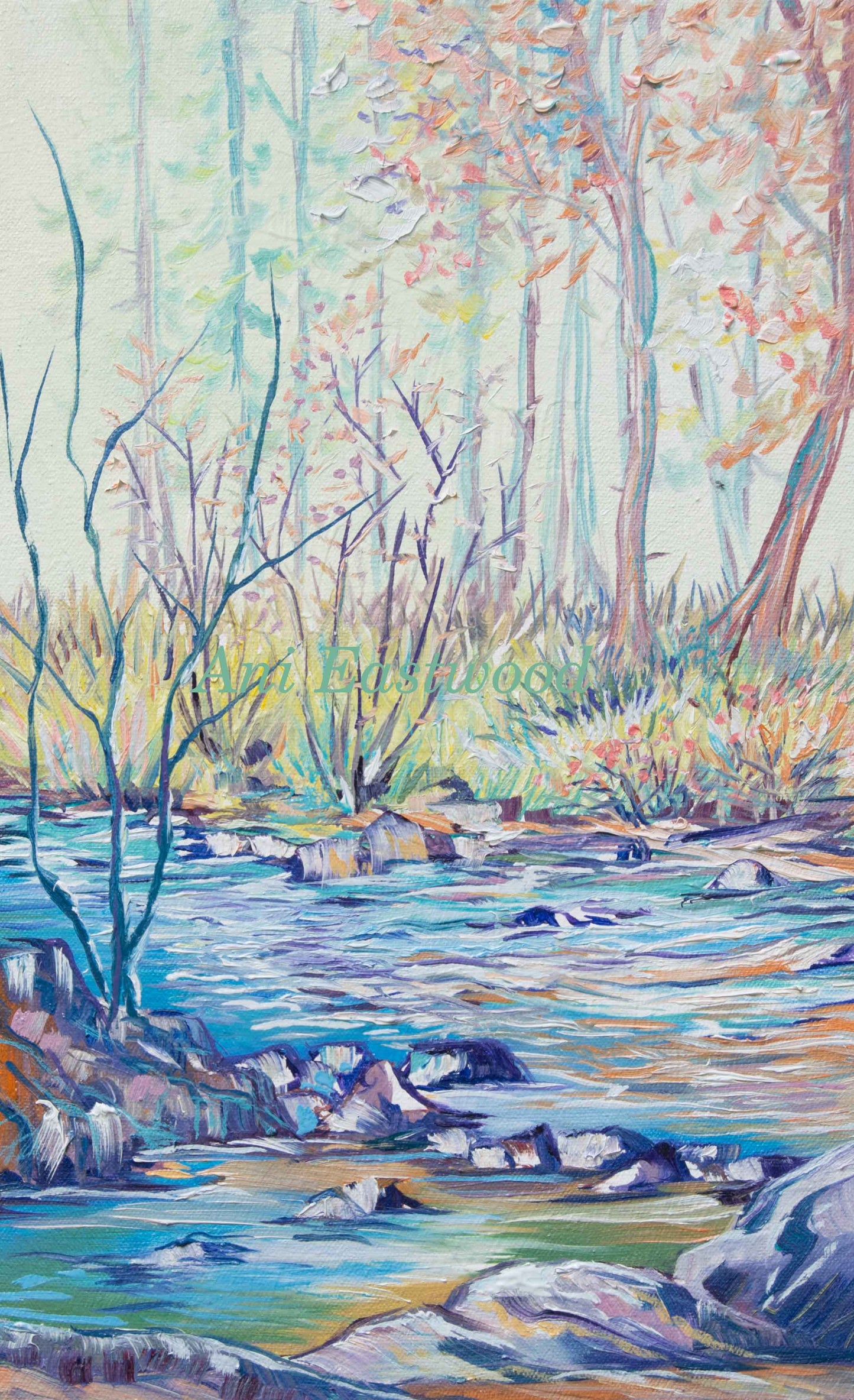 "Fall Study of Rattlesnake Creek, Montana" 2019