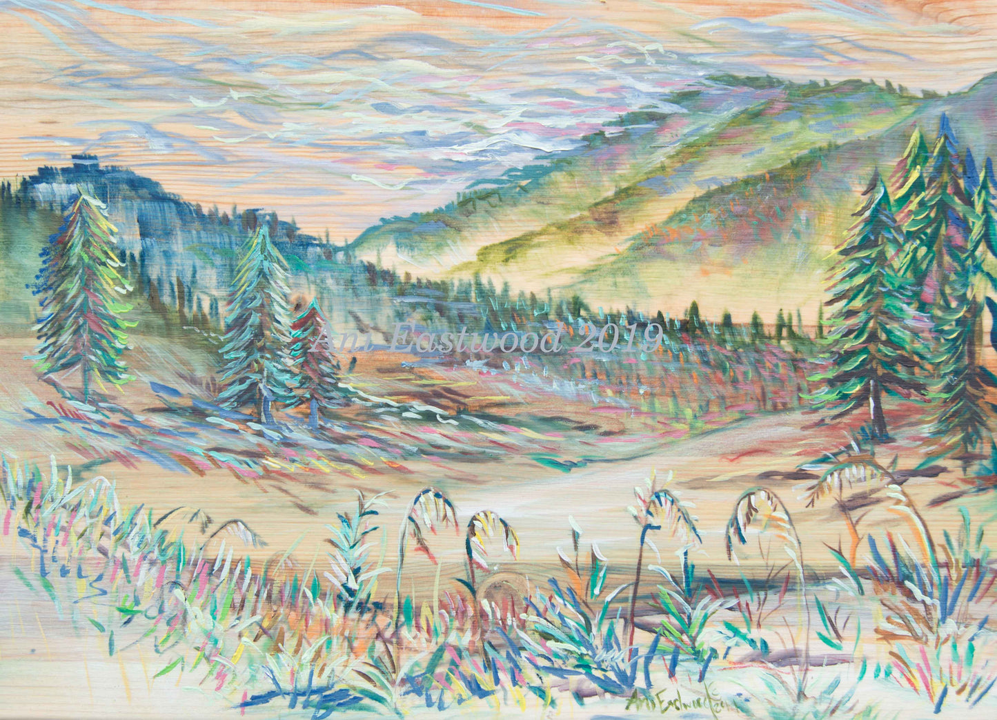 "Sawmill Gulch, Montana" 2019 Ani Eastwood