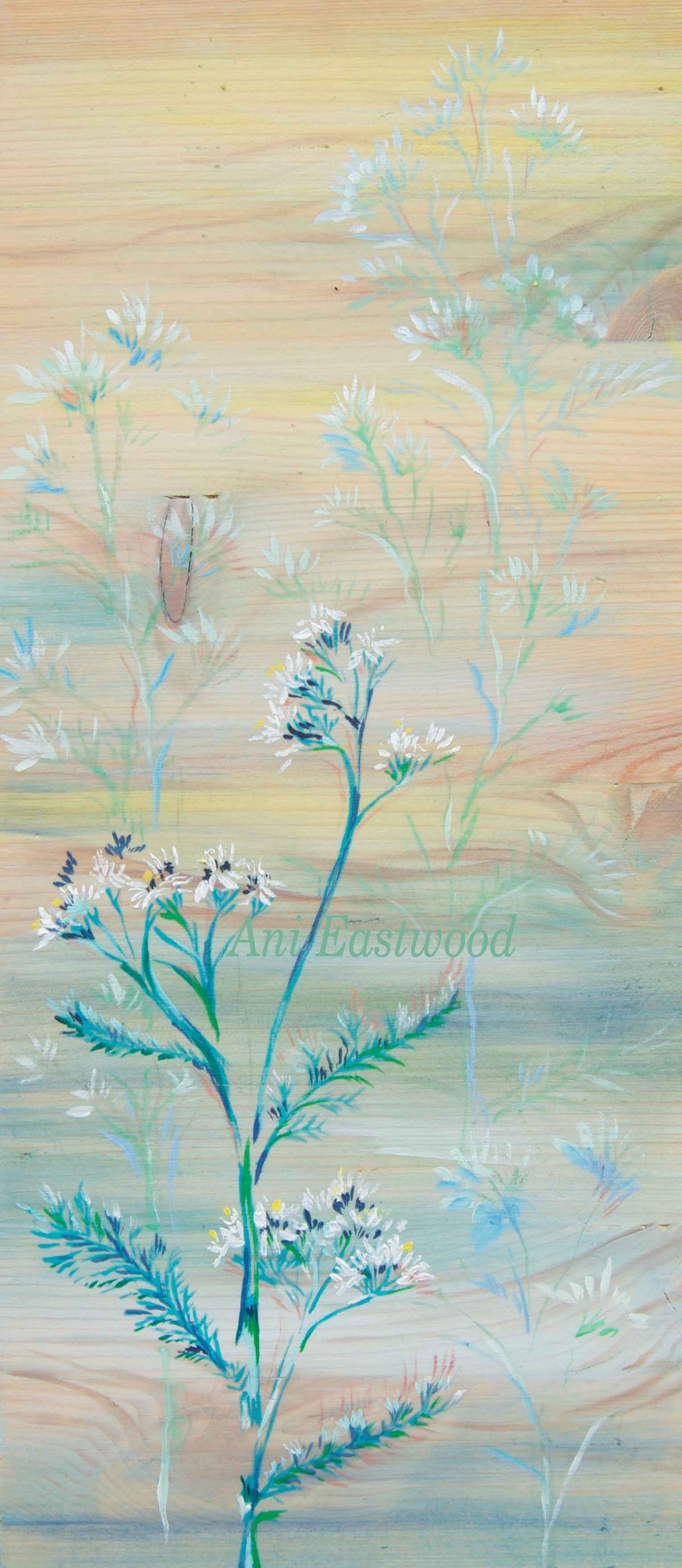 Flowers and Plants Card 6 Pack: Ani Eastwood